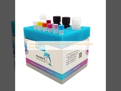 Chloramphenicol CAP Rapid Test Kit für Gewebe Empfindlichkeit 0,05 PPB
